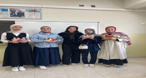ÇEDES projesi